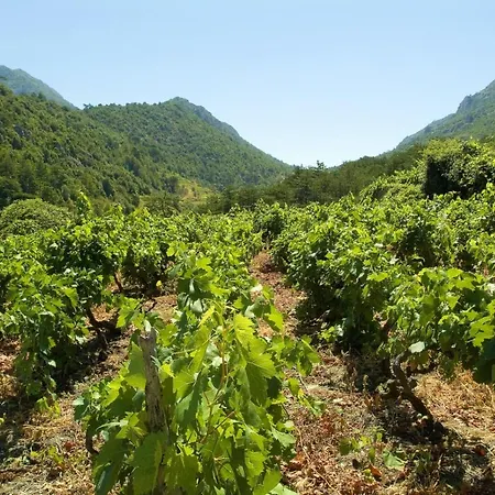 Dom wakacyjny House In Tri Porte With Sea View, Terrace, Air Conditioning, Wifi 166-1